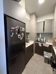 Stirling Residences (D3), Apartment #605323741